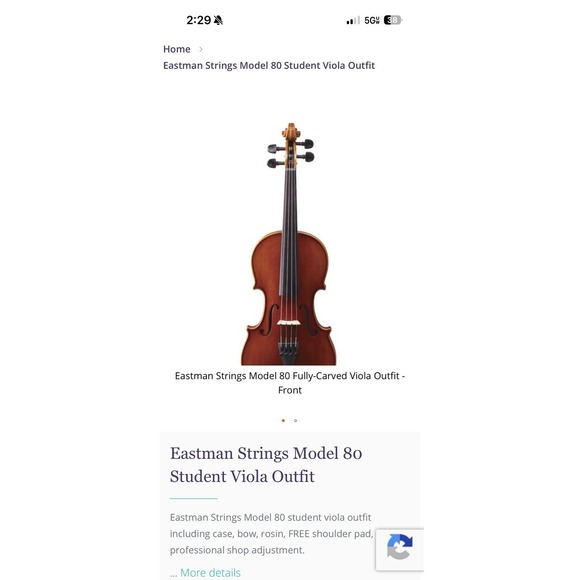 Eastman Other - Eastman Strings Model 80 Student Viola Outfit